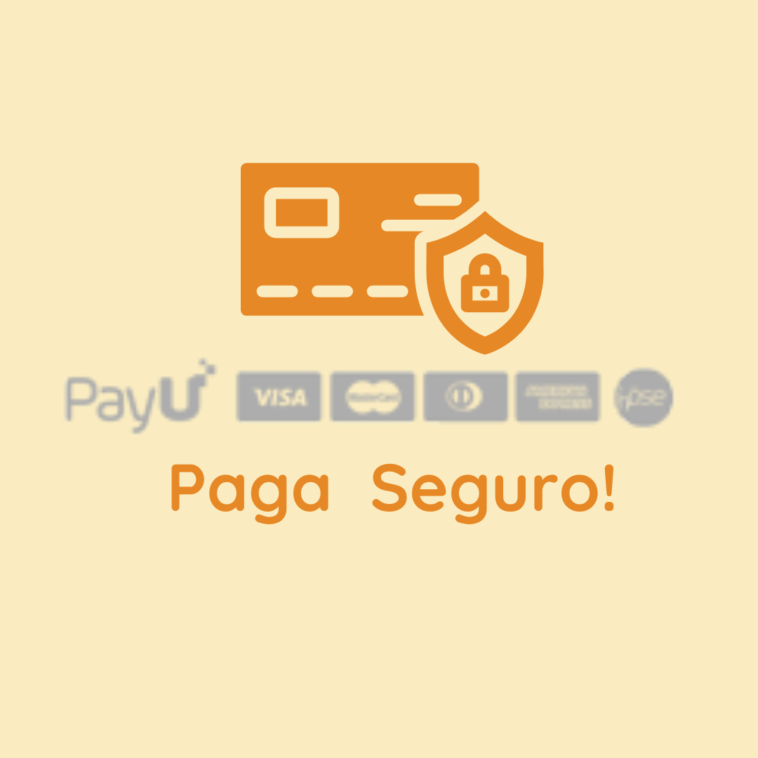 Paga Seguro